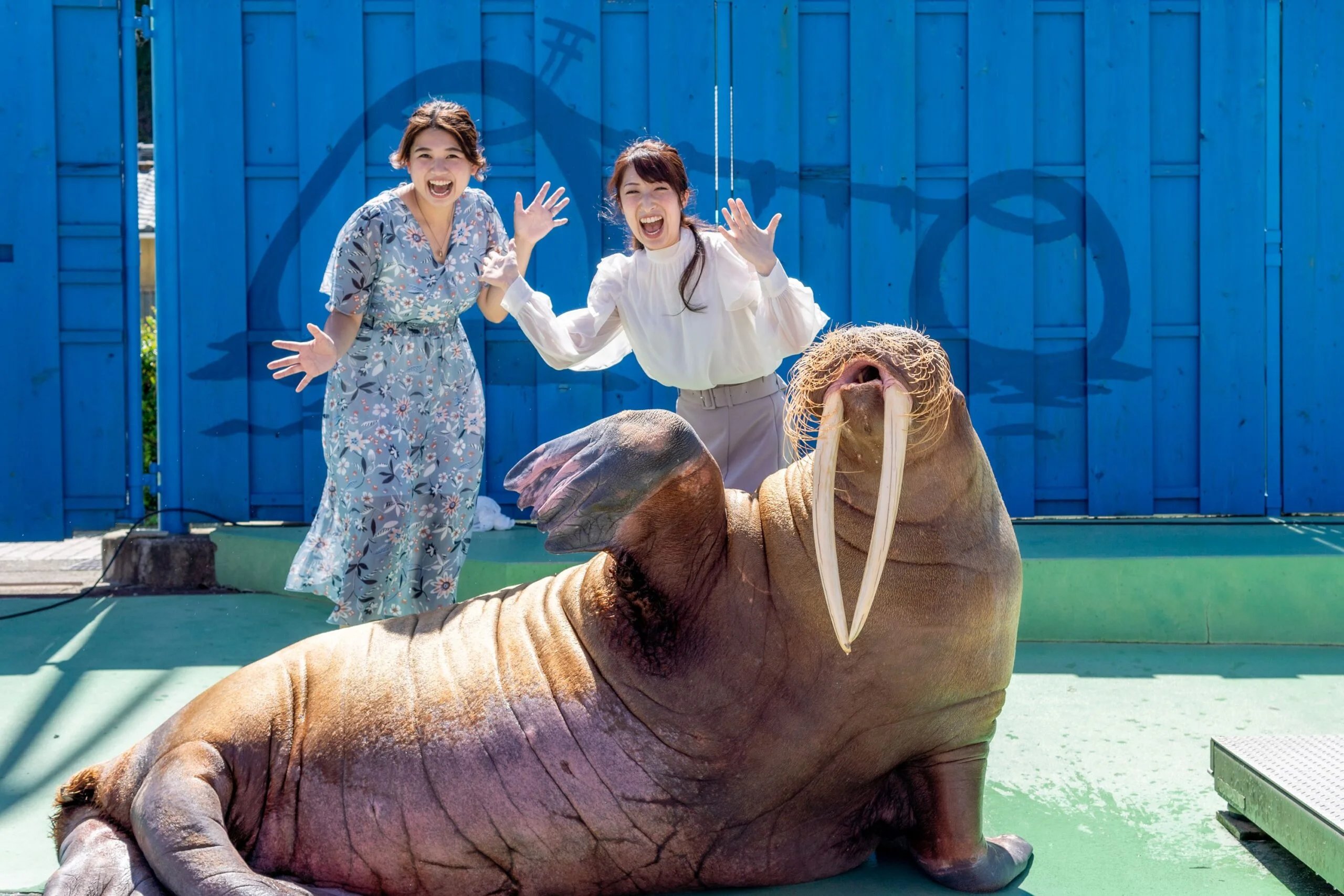 🐠 제로 거리 수족관 이세 시 파라다이스 이미지 6